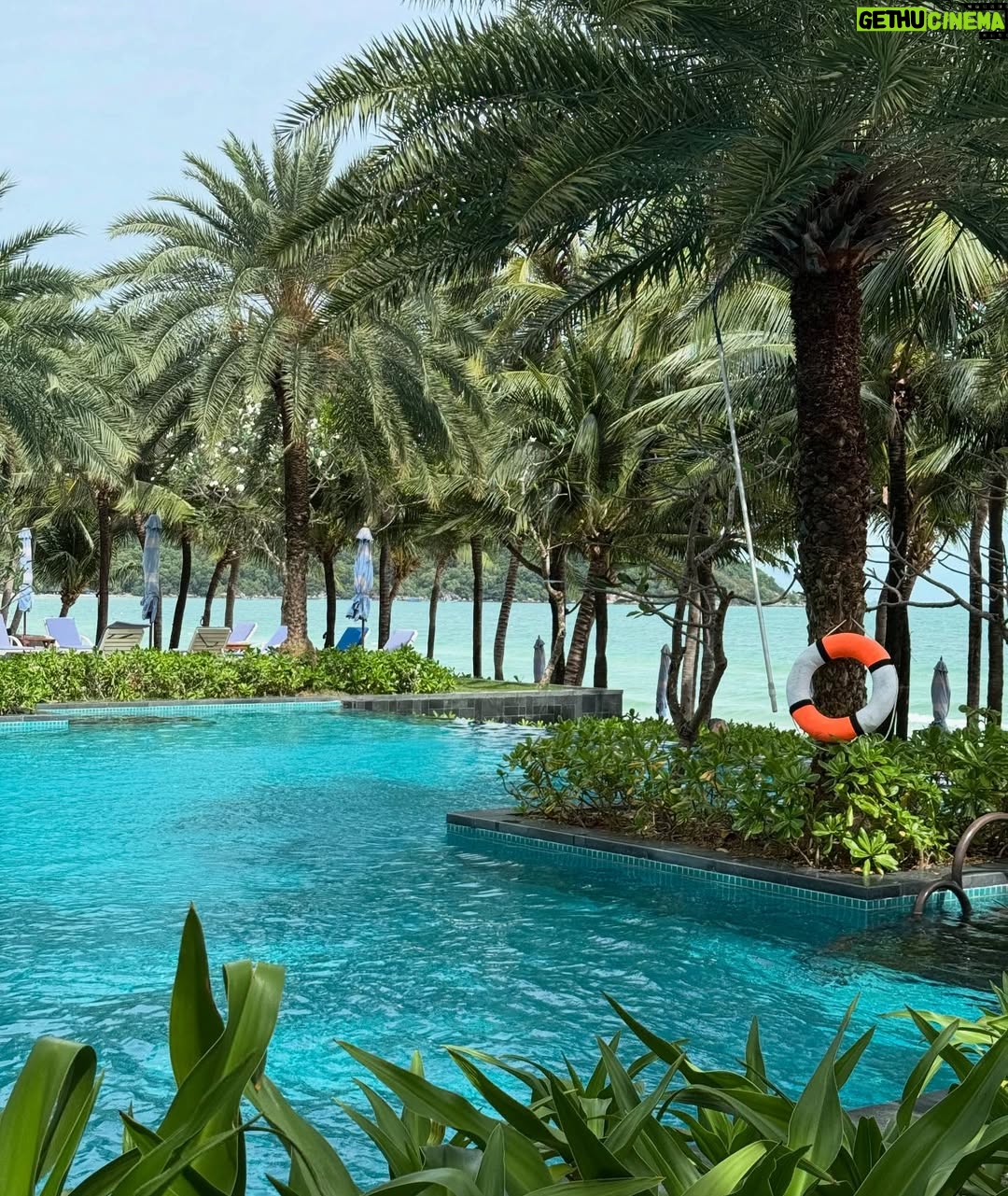 Kim Ji-eun - 234.1K Likes - 🌴🏖️🥥🥖