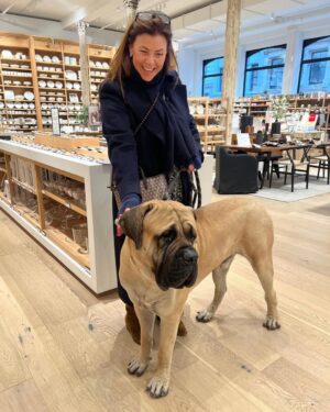 Kirstie Allsopp Instagram - This Englishman in New York was a real charmer, he’s only a year old! We bumped into him wandering round interiors stores, luckily both of us think this counts as a dream holiday. It’s cold & bright and we’ve been biking around and taking in the sights, I could never get bored of New York. 🍎 #englishmastiff #newyork