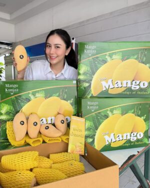 Kodchakorn Songsaengterm Instagram - @mangokunjaa ✨ มะม่วงน้ำดอกไม้ หอมหวานมากก คัดมาแล้ว สวยทุกลูก อร่อยทุกลูก ขอบคุณคุณลุงด้วยนะคะ อร่อยมากค่ะ @sandeekrab