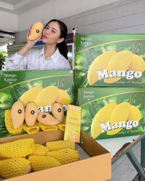 Kodchakorn Songsaengterm Instagram - @mangokunjaa ✨ มะม่วงน้ำดอกไม้ หอมหวานมากก คัดมาแล้ว สวยทุกลูก อร่อยทุกลูก ขอบคุณคุณลุงด้วยนะคะ อร่อยมากค่ะ @sandeekrab