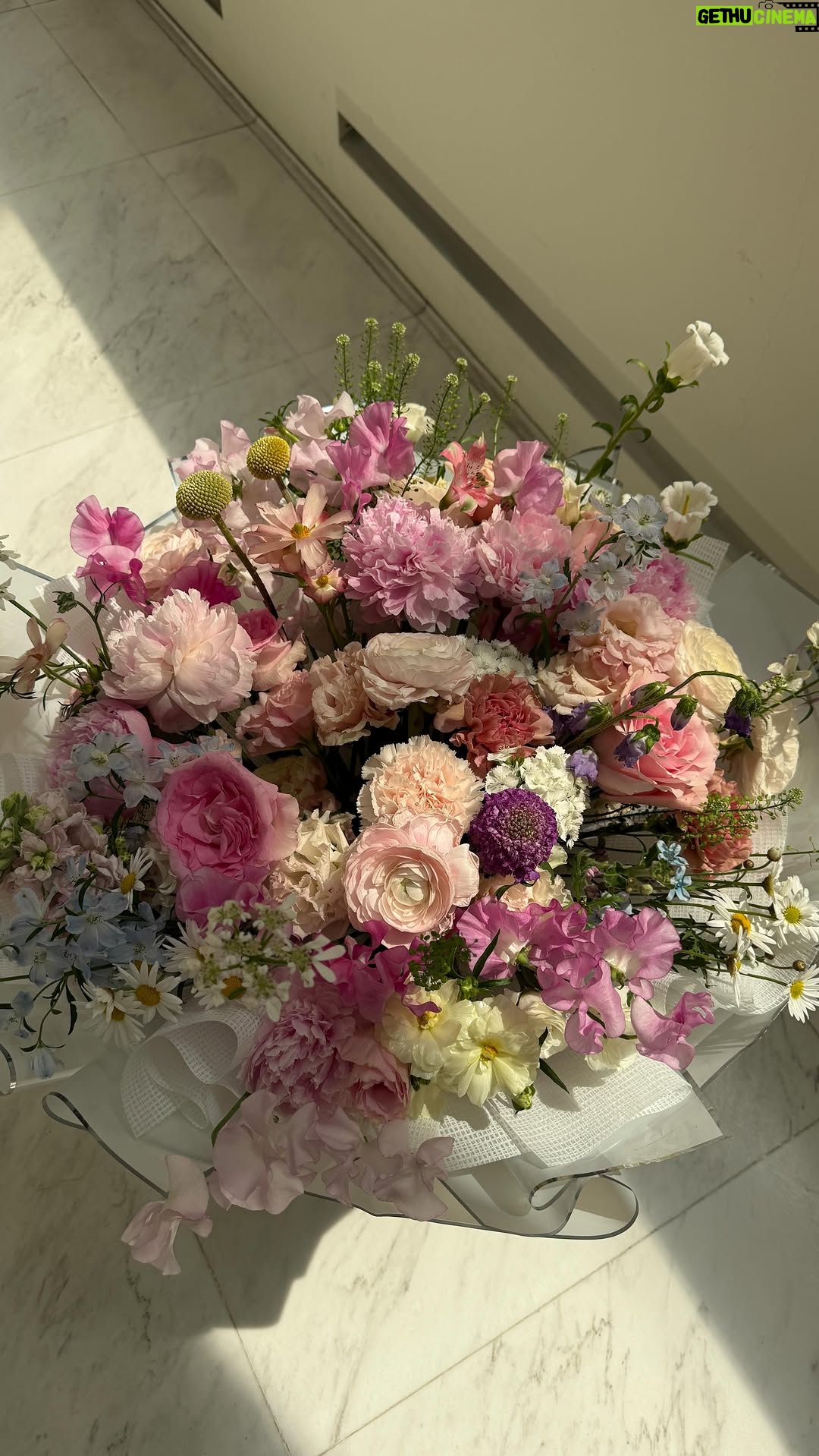 Koe Yeet - 160.6K Likes - If he tells u flowers aren’t worth it…
Send this.