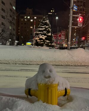 Konatsu Kato Instagram - HOKKAIDO🌨️