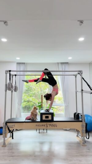 Lapassalan Jiravechsoontornkul Instagram - Pilates with Chella🦊💖 @thepomfestival 
@figure8pilates
