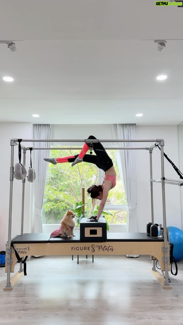 Lapassalan Jiravechsoontornkul - 3 Likes - Pilates with Chella🦊💖 @thepomfestival
@figure8pilates