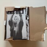 Laura Bailey