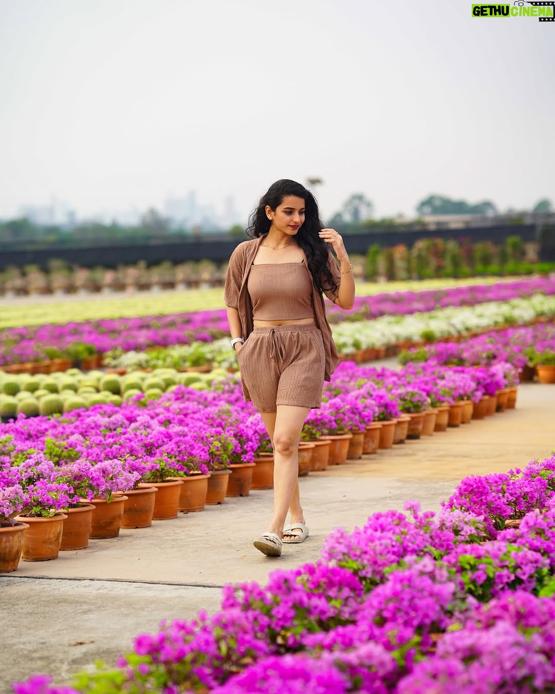 Lavanyaa - 74K Likes - 🍃