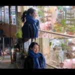 Lee Eun-jae