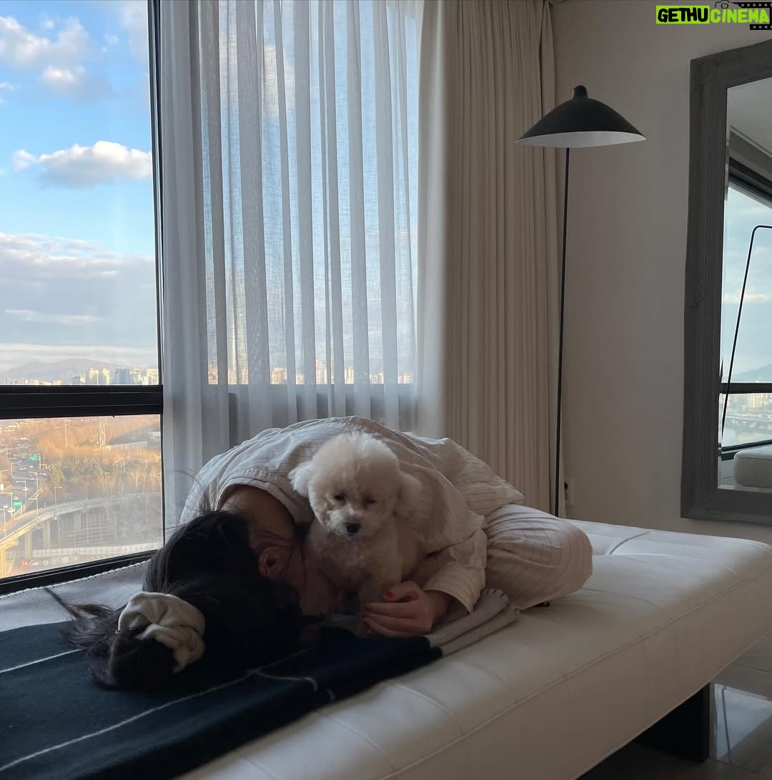 Lee Hae-ri - 31.8K Likes - 사진이 좀 많은댑🫣
다들 잘 쉬고 있어요??
저는 푹푹 쉬고 있어요
많이 먹고 많이 잘 거예요
모두 연휴에 맛있는 것도 먹고
최대한 적게 움직이고
돼해 복 많이 받아요💕
.
.
.
곧 유튭 업로드도 해볼게요!!!!와하하
하이팅!!!!