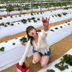 Lin Hana