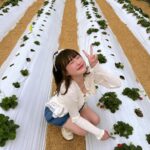 Lin Hana