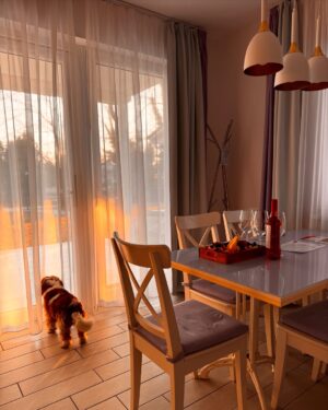 Lola Instagram - A héten 2 napot Szarvason a @liget_hotel -ben tölthettünk.✨ Imádtuk a kis vízparti villát, a reggel beszűrődő fényeket és az egész hotel energiáját. Nekünk teljes mértékben sikerült kiszakadnunk a hétköznapokból, régen éreztem ekkora nyugalmat. ☺️ A szálloda éttermében hihetetlen finom vacsorákat kaptunk, mindennek isteni íze volt. A nutellás cupcake pedig örökre a kedvencem marad. 😍 Köszönjük, hogy itt lehettünk! 🙏🏼 #szarvas #ligethotel #wellness #reklám