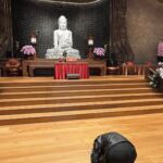 Lotus Wang