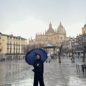 Ma Sichun Instagram - Catedral de Segovia.💒