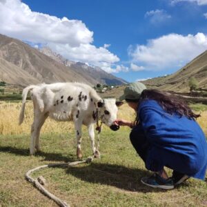 Maha Hasan Instagram - Skardu photo dump ft. ALL THE CUTEST ANIMALS IN THE WORRRLD

Locations: Thallay Valley, Barrah, Shigar