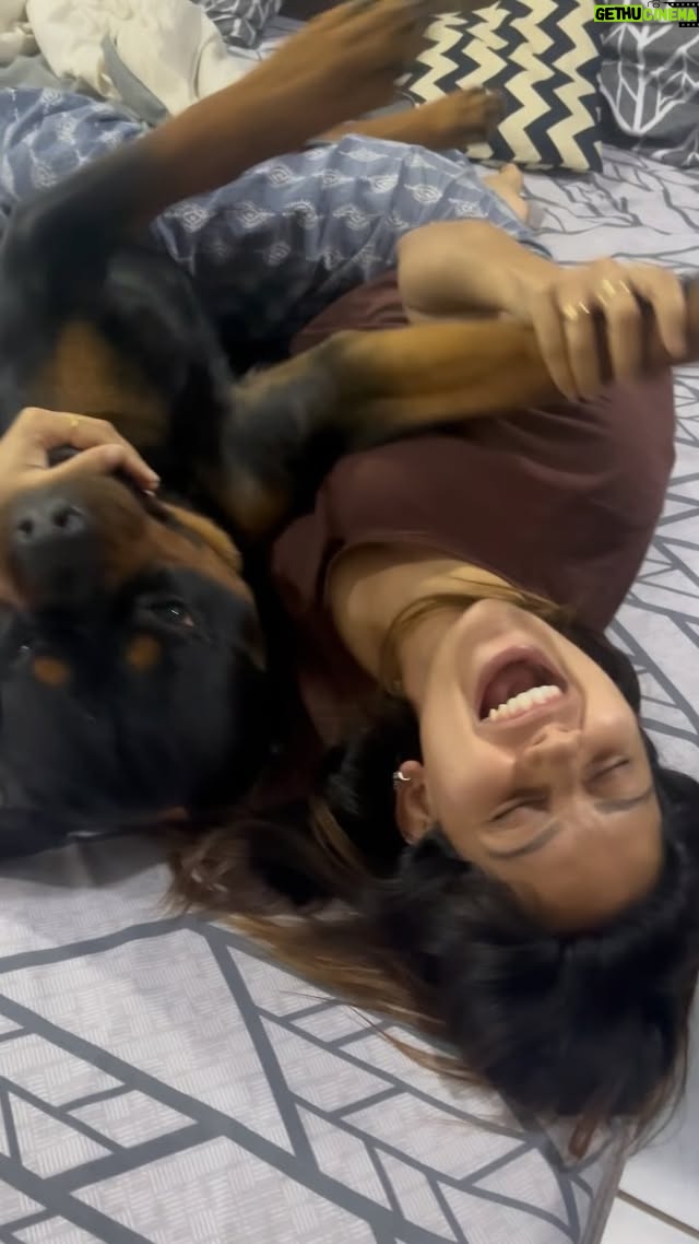 Mahima Nambiar - 204.7K Likes - Never a dull moment with them ❤️
#mybabies #cuteboy #rottweiler #rottweilerbaby #home #heaven