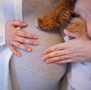 Mai Hagiwara Instagram - Maternity Photo with🐶📸

ぷぅとのショットは絶対撮りたかった🥺🤍
(なんならこれがメイン😂)

色々おやつあげながら頑張った🤣💪🏻
付き合ってくれてありがとうね🐶
ぷぅらしい表情がたくさん撮れました🥲🫶かわいい...

すでに赤ちゃんや子供が大好きなぷぅだから
👶🏻のとの絡みが今からすごくたのしみです🤍"

家族の形が変わって最初は特にぷぅには
我慢させてしまうこともあるかもしれないけど、変わらずドッグラン行ったり家族４人でたくさんこれからも思い出を作っていきたいなと思っています📚

#マタニティーフォト
#maternityphoto
