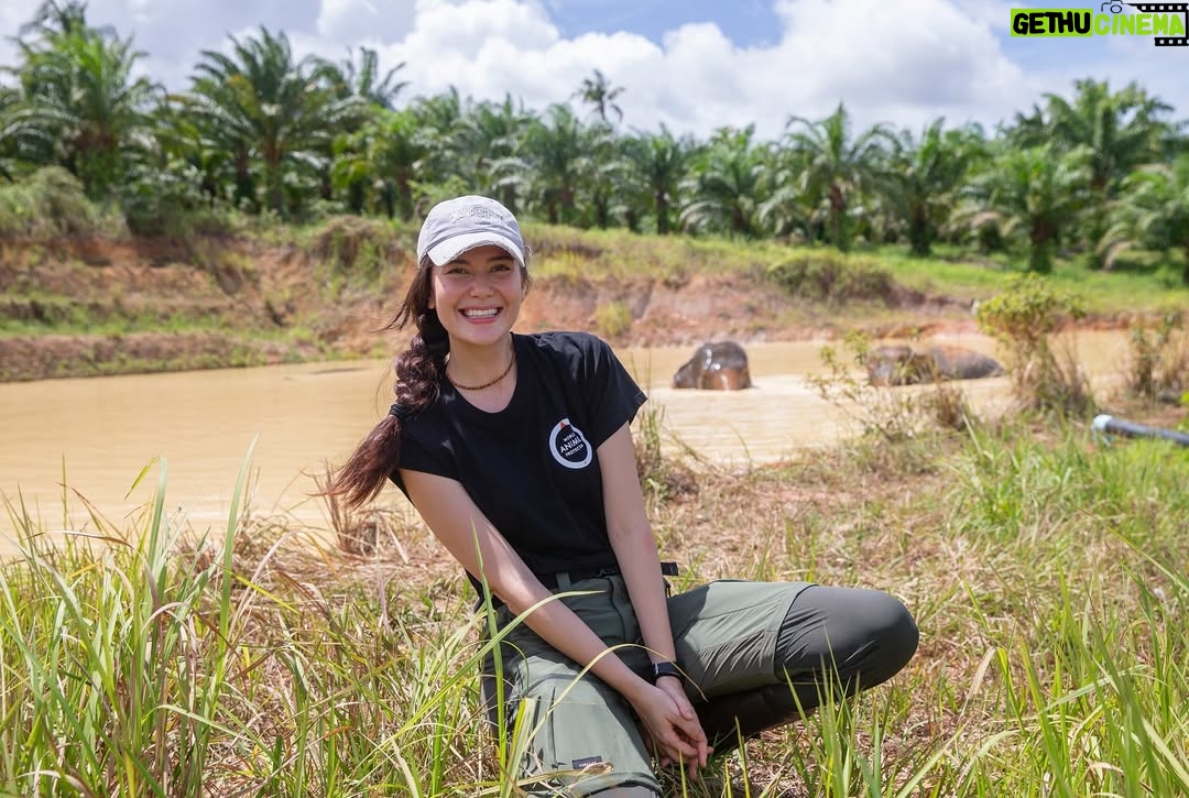 Maria Lynn Ehren - 3 Likes - Elephant-Friendly Venues: We can be part of the solution šš
We visited āFollowing Giantsā, Krabi. The owner, Khun Chalaeās story is inspiring, as he turned his business around. One that used to allow riding etc., to one we see as a truly āelephant-friendlyā venue. For example, only 1 person, the mahout, is allowed to talk to their elephant because we learned that elephants have rather high egos and donāt like being told by just anyone. I can totally relate! He mentioned that although this means they can accept fewer tourists than before, he can truly feel happy knowing heās giving the elephants the best lives he can provide.
Not all places labeled as sanctuaries provide high welfare. Hereās a quick summary of what to look for, based on World Animal Protectionās criteria:
1. Is touching allowed? If you can ride, bathe, or touch elephants, theyāve likely been cruelly trained. Prove me wrong!
2. Are elephants behaving naturally? Elephants should roam freely and express natural behaviors, not be confined or forced to perform.
3. Are there baby elephants? If you see baby elephants, especially without their mothers, the venue is not elephant-friendly as they wouldnāt support captive breeding.
4. Are elephants and people safe? Elephants should be treated with kindness and respect. Hooks should only be used in emergencies. Crowding can make elephants unpredictable and dangerous, therefore keep your distance. Many tourists and mahouts are injured and killed each year. Even in elephant-friendly venues, youāll often see mahouts accompanying elephants at a distance, to keep everyone safe.
Hope this helps!
Full guide and list found on link in bio š
#EthicalToursim #ElephantFriendlyVenues #WorldAnimalProtection #Thailand #Elephants