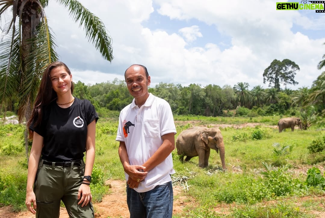 Maria Lynn Ehren - 3 Likes - Elephant-Friendly Venues: We can be part of the solution šš
We visited āFollowing Giantsā, Krabi. The owner, Khun Chalaeās story is inspiring, as he turned his business around. One that used to allow riding etc., to one we see as a truly āelephant-friendlyā venue. For example, only 1 person, the mahout, is allowed to talk to their elephant because we learned that elephants have rather high egos and donāt like being told by just anyone. I can totally relate! He mentioned that although this means they can accept fewer tourists than before, he can truly feel happy knowing heās giving the elephants the best lives he can provide.
Not all places labeled as sanctuaries provide high welfare. Hereās a quick summary of what to look for, based on World Animal Protectionās criteria:
1. Is touching allowed? If you can ride, bathe, or touch elephants, theyāve likely been cruelly trained. Prove me wrong!
2. Are elephants behaving naturally? Elephants should roam freely and express natural behaviors, not be confined or forced to perform.
3. Are there baby elephants? If you see baby elephants, especially without their mothers, the venue is not elephant-friendly as they wouldnāt support captive breeding.
4. Are elephants and people safe? Elephants should be treated with kindness and respect. Hooks should only be used in emergencies. Crowding can make elephants unpredictable and dangerous, therefore keep your distance. Many tourists and mahouts are injured and killed each year. Even in elephant-friendly venues, youāll often see mahouts accompanying elephants at a distance, to keep everyone safe.
Hope this helps!
Full guide and list found on link in bio š
#EthicalToursim #ElephantFriendlyVenues #WorldAnimalProtection #Thailand #Elephants