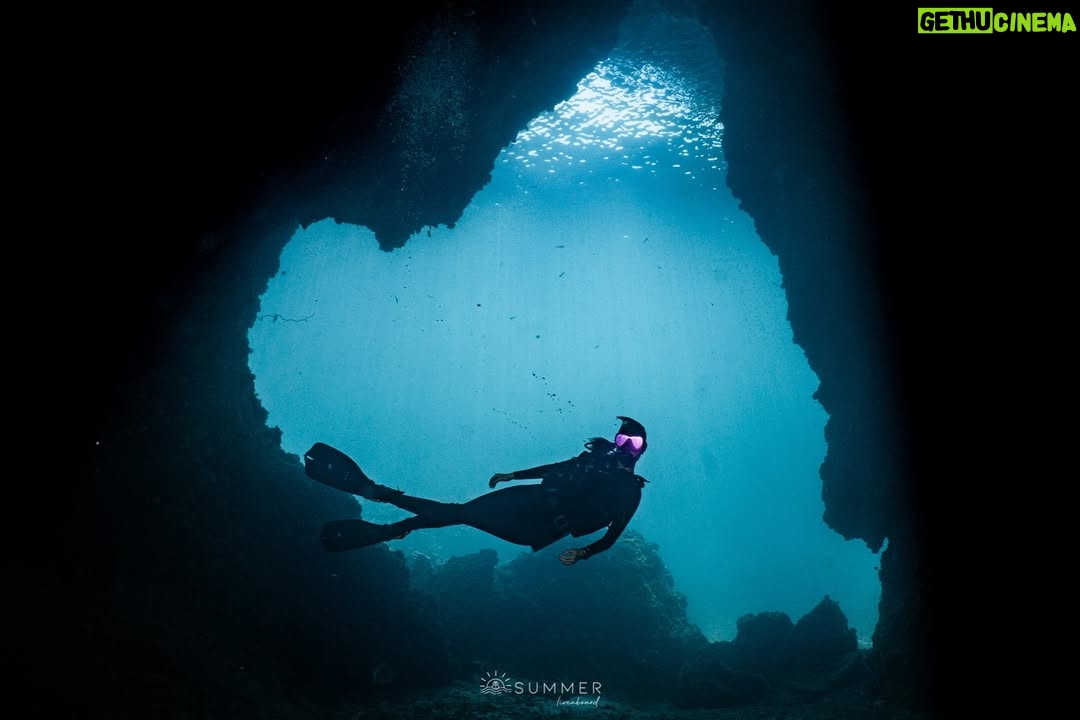 Maria Lynn Ehren - 3 Likes - Soo lucky to have spotted two leopard sharks! ąøąøąøąøąøøąøąøąøøąøąøąøąøŖąø³ąø«ąø£ąø±ąøąøąø§ąø²ąø”ąøąø£ąøąøąø³ąøąøµą¹ąøąø°ąøąø° ąøąø£ąø“ąø #ąøąøøą¹ąøąøąøøą¹ąø š
Did you know⦠that their pattern is unique, just like our finger prints are to us? Also, they are home bodies that like to remain in the same area most of their lives. Can totally relate!
Though we saw two beautiful leopard sharks last week, their populations are in decline. Sharks are an important part of the marine ecosystem ā keeping a balanced healthy world down under. The main cause of their disappearance? Overfishing. As for their fins, body, or as by catch.
All us beautiful peeps, what can we do? We can avoid seafood (commercial fishing) or support local fishermen, no shark fin soup or any shark products, help push for #MPA marine protected areas and contribute to citizen science!
So - if you #SpottheLeopardShark and have photos, you can add yours to the program (last photo).
#HinBida #Thailand #AndamanSea #NhumxMaria