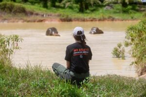 Maria Lynn Ehren Instagram - Elephant-Friendly Venues: We can be part of the solution 💚🐘

We visited “Following Giants”, Krabi. The owner, Khun Chalae’s story is inspiring, as he turned his business around. One that used to allow riding etc., to one we see as a truly ‘elephant-friendly’ venue. For example, only 1 person, the mahout, is allowed to talk to their elephant because we learned that elephants have rather high egos and don’t like being told by just anyone. I can totally relate! He mentioned that although this means they can accept fewer tourists than before, he can truly feel happy knowing he’s giving the elephants the best lives he can provide. 

Not all places labeled as sanctuaries provide high welfare. Here’s a quick summary of what to look for, based on World Animal Protection’s criteria:

1. Is touching allowed? If you can ride, bathe, or touch elephants, they’ve likely been cruelly trained. Prove me wrong!

2. Are elephants behaving naturally? Elephants should roam freely and express natural behaviors, not be confined or forced to perform.

3. Are there baby elephants? If you see baby elephants, especially without their mothers, the venue is not elephant-friendly as they wouldn’t support captive breeding.

4. Are elephants and people safe? Elephants should be treated with kindness and respect. Hooks should only be used in emergencies. Crowding can make elephants unpredictable and dangerous, therefore keep your distance. Many tourists and mahouts are injured and killed each year. Even in elephant-friendly venues, you’ll often see mahouts accompanying elephants at a distance, to keep everyone safe.

Hope this helps!

Full guide and list found on link in bio 💗

#EthicalToursim #ElephantFriendlyVenues #WorldAnimalProtection #Thailand #Elephants