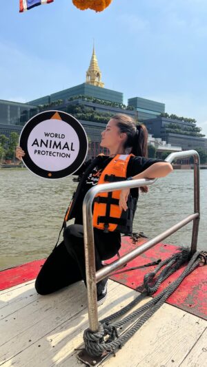 Maria Lynn Ehren Instagram - ลดหรืองด การบริโภคเนื้อสัตว์ หรือเลือกเนื้อสัตว์ที่มาจากฟาร์มได้คุณภาพ (link in bio) 
.
เชื้อดื้อยา คือ เชื้อโรคเช่นเชื้อแบคทีเรียที่มีความต้านทานต่อยาปฏิชีวนะที่ใช้ในการรักษา ทำให้รักษาไม่หายและโรคอาจลุกลามจนทำให้เสียชีวิตได้ 
ที่มา https://chulalongkornhospital.go.th
.
#BanAMR #EndFactoryFamring 
#PlantPower #LessandBetterMeat