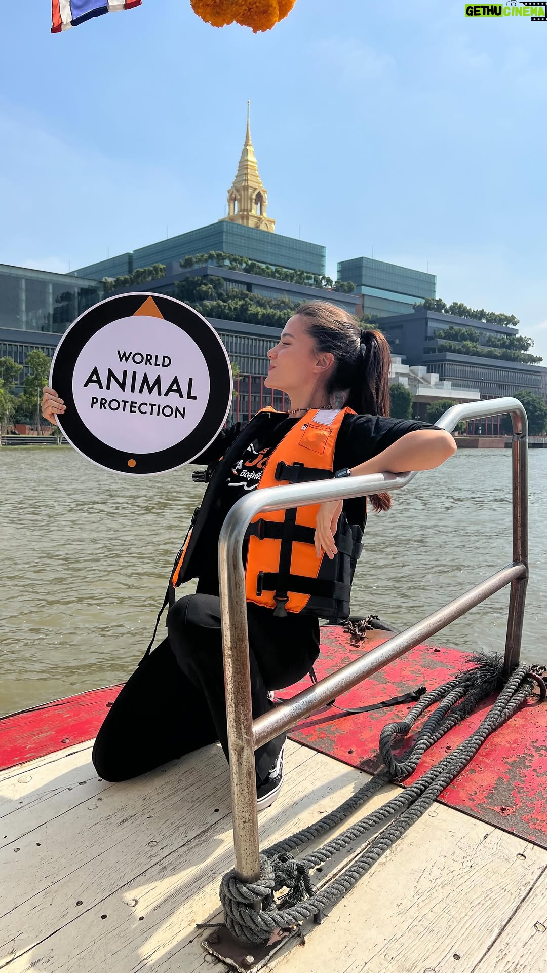 Maria Lynn Ehren - 3 Likes - ลดหรืองด การบริโภคเนื้อสัตว์ หรือเลือกเนื้อสัตว์ที่มาจากฟาร์มได้คุณภาพ (link in bio)
.
เชื้อดื้อยา คือ เชื้อโรคเช่นเชื้อแบคทีเรียที่มีความต้านทานต่อยาปฏิชีวนะที่ใช้ในการรักษา ทำให้รักษาไม่หายและโรคอาจลุกลามจนทำให้เสียชีวิตได้
ที่มา https://chulalongkornhospital.go.th
.
#BanAMR #EndFactoryFamring
#PlantPower #LessandBetterMeat