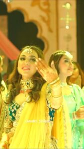 Maryam Noor Top 100 Instagram Photos and Posts