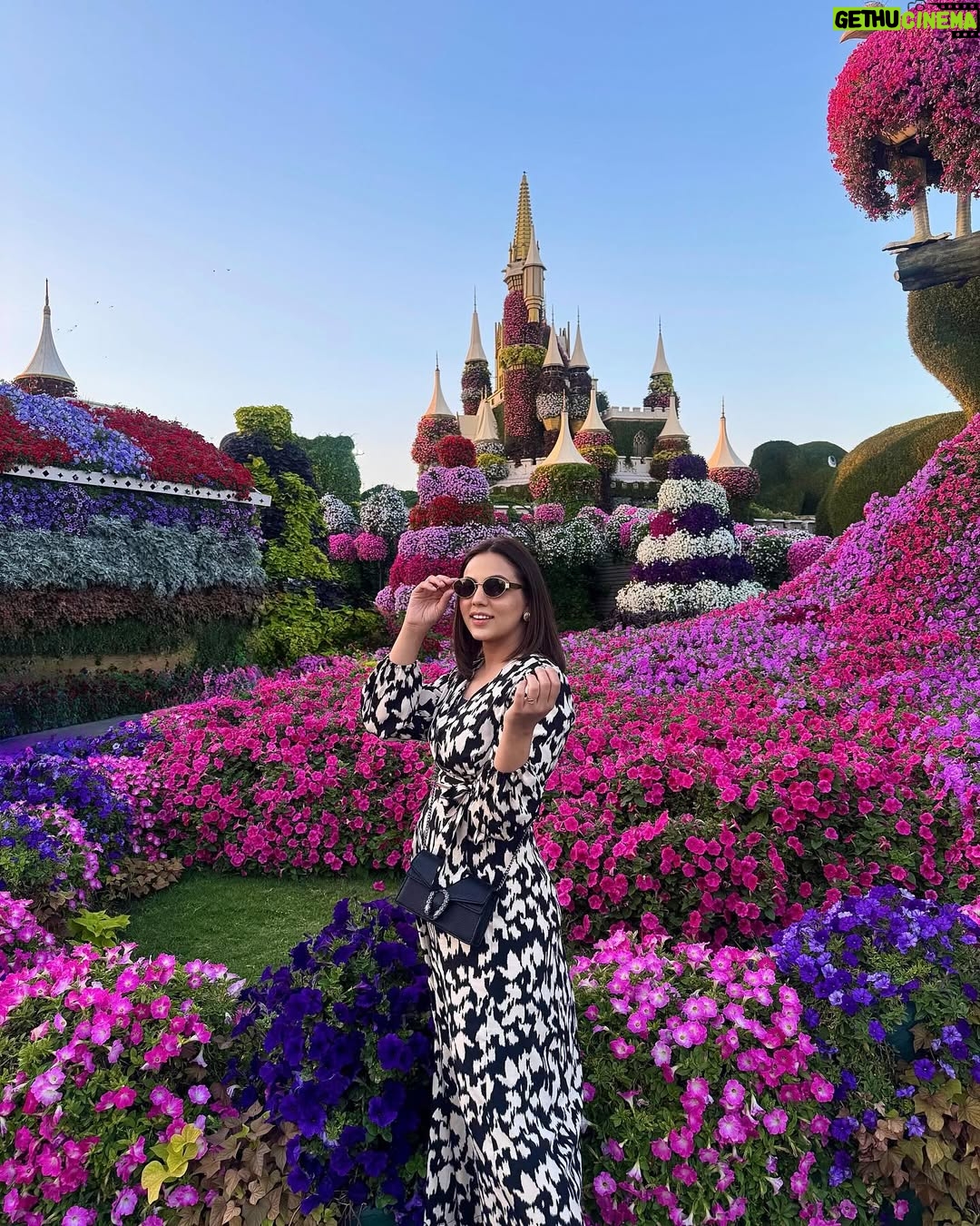 Maryam Noor - 31.8K Likes - Where flowers speak the language of miracles!🌷✨