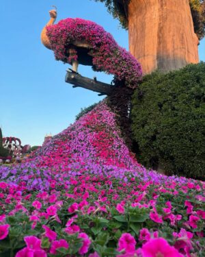 Maryam Noor Instagram - Where flowers speak the language of miracles!🌷✨
