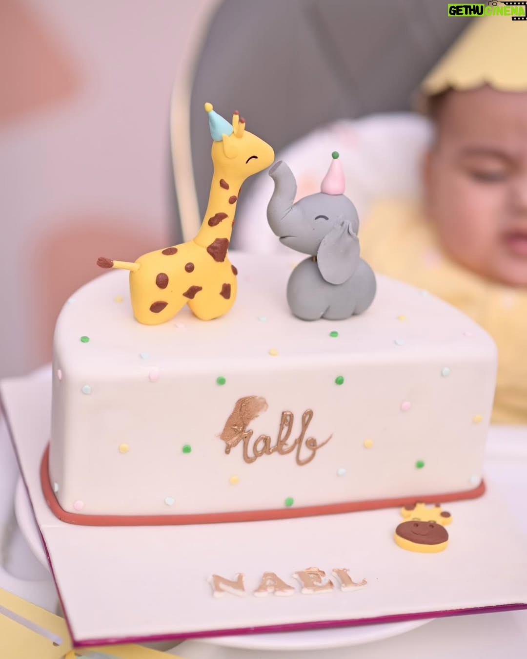 Maryam Noor - 30.6K Likes - Half a year ago, you changed my world forever. Six months of love, laughter, and the most beautiful moments. Happy 6 months, my baby!
📍: @wbywasabi
🎂: @minitreatscc
🎪: @zealandzesteventss
📸: @qaafseenmeemofficial
👶🏻: @poloralphlauren