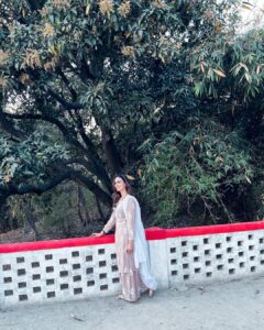 Actress Meenakshi Dixit HD Photos and Wallpapers March 2025