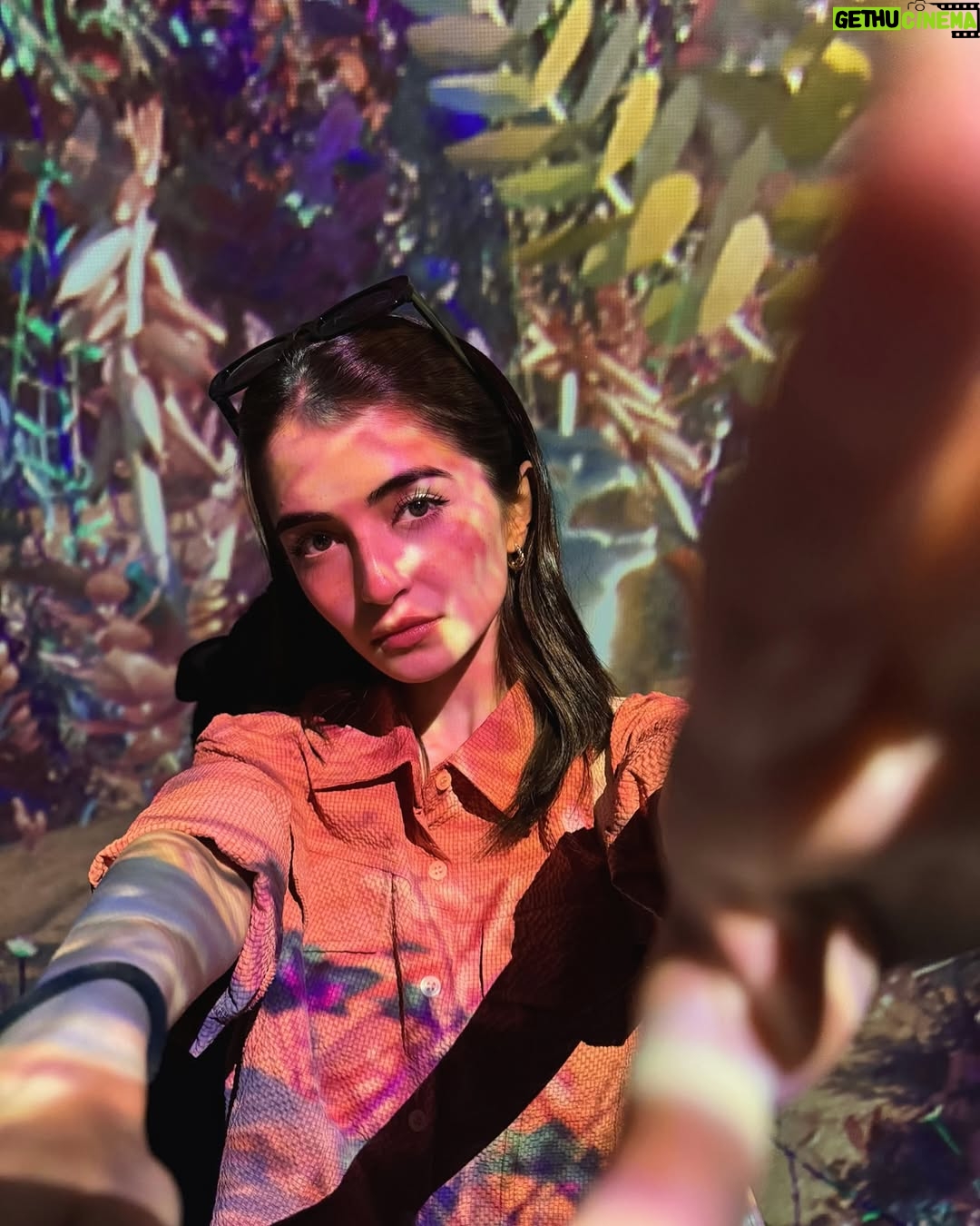 Meerub Ali - 157.8K Likes - Stepping into the future and beyond in Dubai! 🚀 Exploring the Museum of the Future, immersing in the surreal beauty of AYA Universe, and experiencing a slice of the rainforest, home to fascinating inhabitants at The Green Planet. This city is a dreamscape! 🌌🌿
#DubaiWonders #MuseumOfTheFuture #AYAUniverse #TheGreenPlanet #visitdubai
