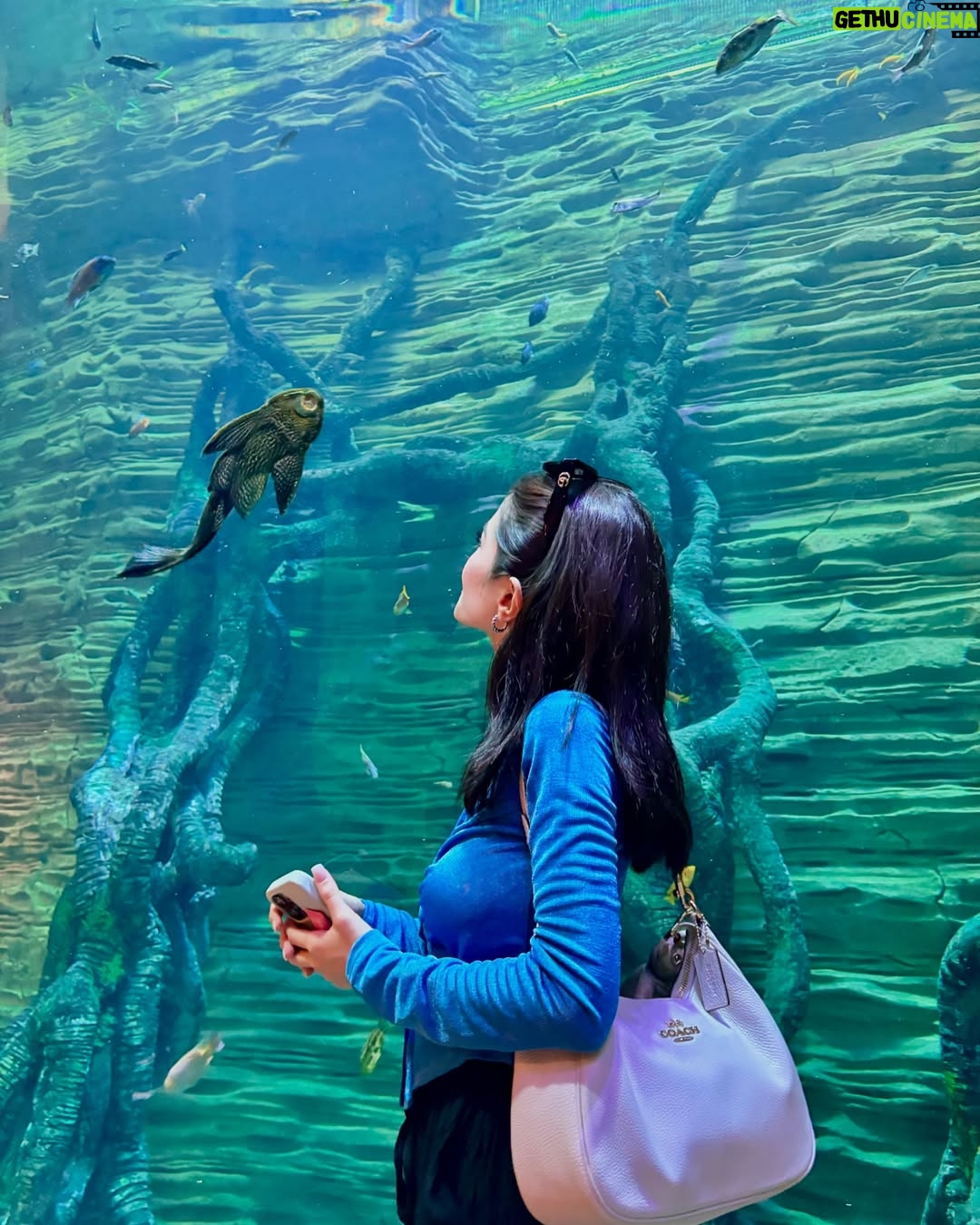 Meerub Ali - 157.8K Likes - Stepping into the future and beyond in Dubai! 🚀 Exploring the Museum of the Future, immersing in the surreal beauty of AYA Universe, and experiencing a slice of the rainforest, home to fascinating inhabitants at The Green Planet. This city is a dreamscape! 🌌🌿
#DubaiWonders #MuseumOfTheFuture #AYAUniverse #TheGreenPlanet #visitdubai