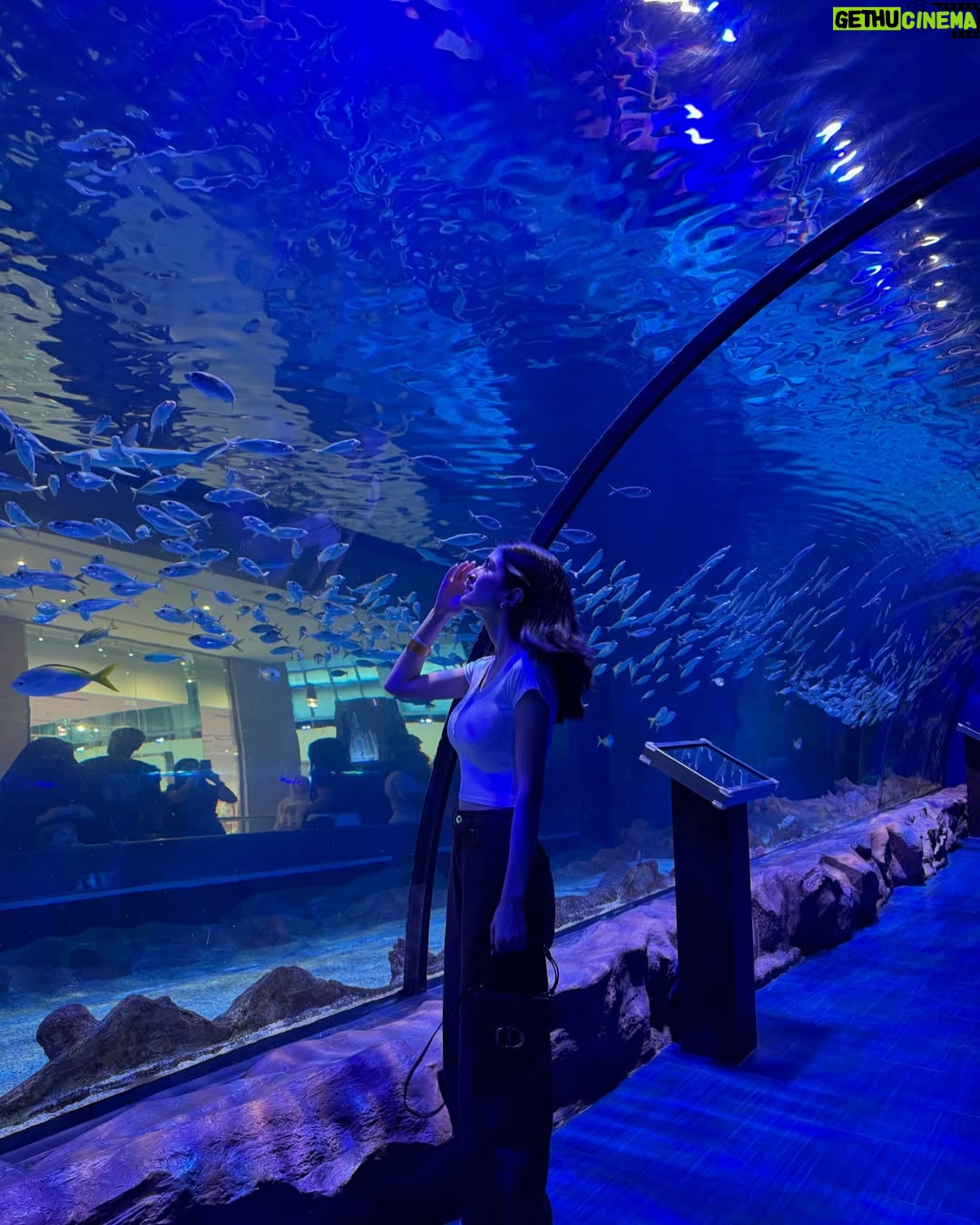 Meerub Ali - 115.2K Likes - Exploring the best of Dubai! 🕌 From savoring global flavours at Time Out Market, hitting the slopes at Ski Dubai, to diving into the underwater wonders at Dubai Aquarium—this city never ceases to amaze! 🌟
#DubaiAdventures #TravelDiaries #TimeoutMarket #SkiDubai #DubaiAquarium #visitdubai