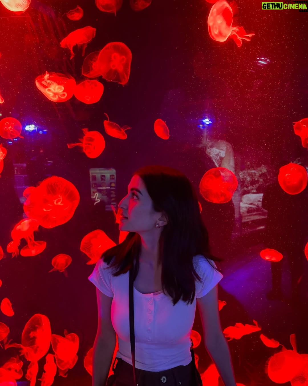 Meerub Ali - 115.2K Likes - Exploring the best of Dubai! 🕌 From savoring global flavours at Time Out Market, hitting the slopes at Ski Dubai, to diving into the underwater wonders at Dubai Aquarium—this city never ceases to amaze! 🌟
#DubaiAdventures #TravelDiaries #TimeoutMarket #SkiDubai #DubaiAquarium #visitdubai