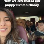Meesha Shafi