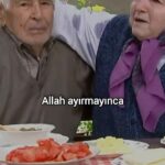 Melek Baykal