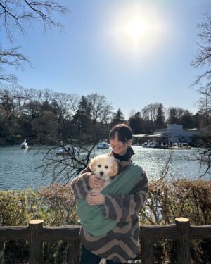 Mew Azama Instagram - バブルス井の頭公園デビュー🦢

でも人が多すぎて…
人やワンちゃんが大好きなバブには刺激だらけで
全くお散歩にならず、すぐ引き上げました😂
　
私は美味しいソフトクリームを食べて大満足🍦笑
　

バブはまだまだお散歩が下手っぴで
キョロキョロぴょんぴょんしてるので
だいたいすれ違う人に「赤ちゃんですか？」
とバレてしまう笑

上手にお散歩できるように
日々特訓中です🐾
　

みなさん3連休はいかがお過ごしですか？？
　

#バブルス#ラブラドゥードル#オーストラリアンラブラドゥードル#パピー#ラブラドゥードルの子犬#子犬#bubbles#labradoodle#australianlabradoodle#puppy