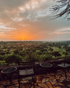 Miisa Rotola-Pukkila Instagram - Living the safari dream💭🌳🐆🐘☀️

Reissun ekassa kansallispuistossa Tarangiressa koettiin unohtumattomia safarielämyksiä: leopardi makoilemassa akaasiapuun oksalla, kirahvit paistattelemassa kauniissa iltavalossa ja yli 100 norsun lauma pulikoimassa porukalla!!!🥹

Yövyttiin safariteltassa ja näin niin jäätävän pelottavan valveunen, että sitä piti hetki hengitellä jälkeenpäin…😳 Siitä lisää videolla!

Grekovit kruisaa Tansaniassa osat 1 ja 2 nyt tubessa💚
