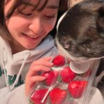 Miki Yanagi