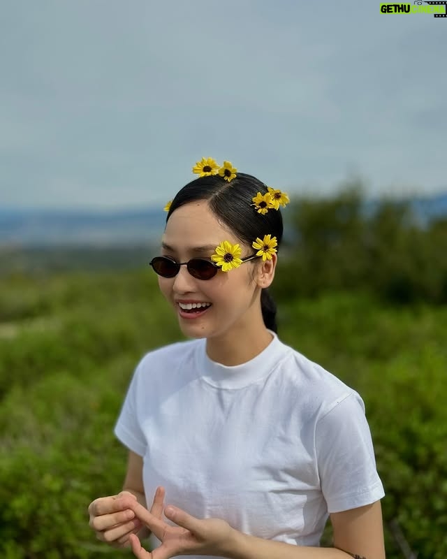 Miu Le - 3 Likes - 🌼🌼🌼🌼🌼🌼