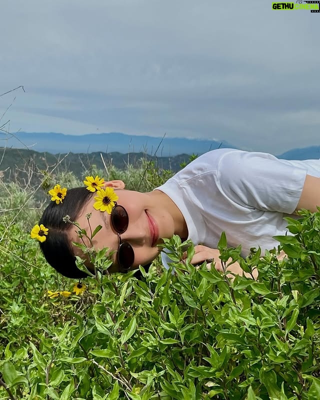 Miu Le - 3 Likes - 🌼🌼🌼🌼🌼🌼