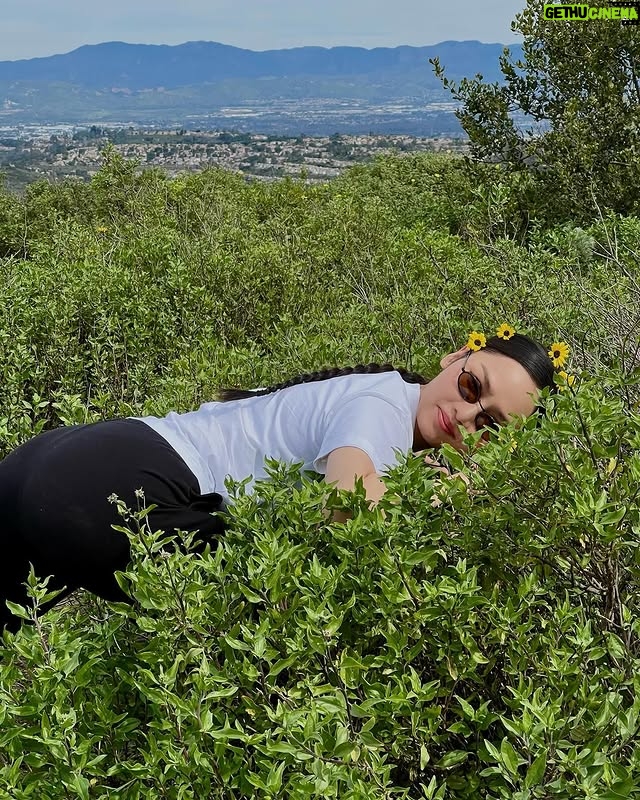 Miu Le - 3 Likes - 🌼🌼🌼🌼🌼🌼