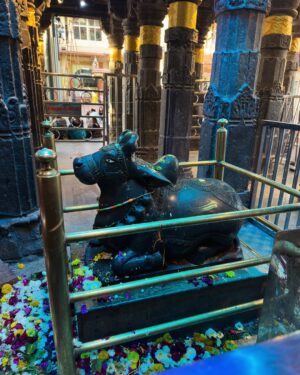 Muskan Bamne Instagram - जय महाकाल 🙏 जय महाकाल भैरव 🙏  जय मां गढ़ कालिका 🙏 

#Ujjain #Mahakal #JaiMataDi #Blessed #GodsChild #Famliy 
#MuskanBamne

Stylist - @dimple_m_soni
Saree by - @ethnicsaroj