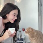 Narilya Gulmongkolpech