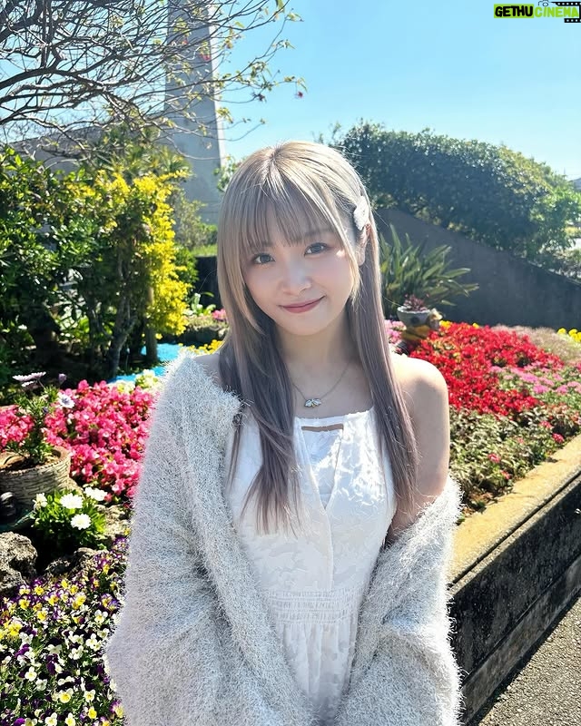 Natsumi Maki - 8.2K Likes - 本当は沖縄で復帰するつもりでいたけど、間に合わなかった。
結局沖縄には来れたけどさ☀️
中々行く事のできない沖縄で本当は試合したかったし、
ここでしか見れないみんなに戦いを見てほしかった。
みんなの試合見てると、自分だけ立ち止まってる気がして凄くもどかしい気持ちになった。
沖縄は最高な場所だけど、もし試合してたら、このオフ日ももっと最高な気持ちだったんだろうなぁ〜て。
でもそんな私の背中を押してくれるくらい
最高の景色と空気を吸えて、
俄然やる気がでたよ🔥🌺✨
サイン会では、みんな焦らずって言ってくれてほっとした!
横アリも、10周年も近くて、余計に気持ちが焦るけど、一歩ずつ、目の前のことに全力に頑張る!!!
そして私が楽しまなくちゃみんなも楽しくないよねっ💛💛💛
みんなありがとうー!!!
沖縄ありがとう🏝️☀️✨
#なつぽい #natsupoi #stardom