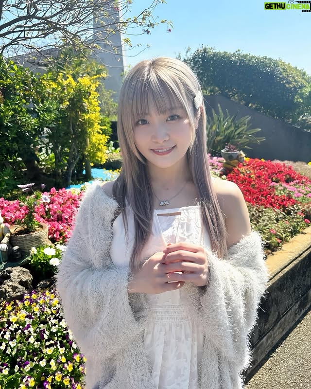 Natsumi Maki - 8.2K Likes - 本当は沖縄で復帰するつもりでいたけど、間に合わなかった。
結局沖縄には来れたけどさ☀️
中々行く事のできない沖縄で本当は試合したかったし、
ここでしか見れないみんなに戦いを見てほしかった。
みんなの試合見てると、自分だけ立ち止まってる気がして凄くもどかしい気持ちになった。
沖縄は最高な場所だけど、もし試合してたら、このオフ日ももっと最高な気持ちだったんだろうなぁ〜て。
でもそんな私の背中を押してくれるくらい
最高の景色と空気を吸えて、
俄然やる気がでたよ🔥🌺✨
サイン会では、みんな焦らずって言ってくれてほっとした!
横アリも、10周年も近くて、余計に気持ちが焦るけど、一歩ずつ、目の前のことに全力に頑張る!!!
そして私が楽しまなくちゃみんなも楽しくないよねっ💛💛💛
みんなありがとうー!!!
沖縄ありがとう🏝️☀️✨
#なつぽい #natsupoi #stardom
