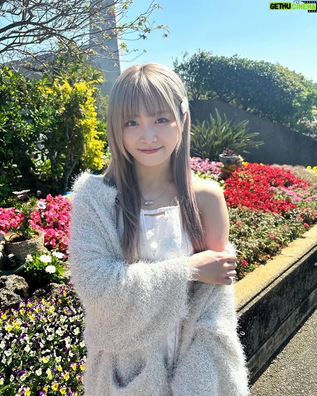 Natsumi Maki - 8.2K Likes - 本当は沖縄で復帰するつもりでいたけど、間に合わなかった。
結局沖縄には来れたけどさ☀️
中々行く事のできない沖縄で本当は試合したかったし、
ここでしか見れないみんなに戦いを見てほしかった。
みんなの試合見てると、自分だけ立ち止まってる気がして凄くもどかしい気持ちになった。
沖縄は最高な場所だけど、もし試合してたら、このオフ日ももっと最高な気持ちだったんだろうなぁ〜て。
でもそんな私の背中を押してくれるくらい
最高の景色と空気を吸えて、
俄然やる気がでたよ🔥🌺✨
サイン会では、みんな焦らずって言ってくれてほっとした!
横アリも、10周年も近くて、余計に気持ちが焦るけど、一歩ずつ、目の前のことに全力に頑張る!!!
そして私が楽しまなくちゃみんなも楽しくないよねっ💛💛💛
みんなありがとうー!!!
沖縄ありがとう🏝️☀️✨
#なつぽい #natsupoi #stardom