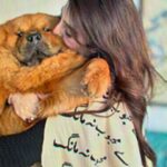 Nawal Saeed