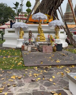 Nazanin Amiri Instagram - Watpho temple Bangkok Thailand (part 6)

In Wat Pho, there are several old statues of Buddhist monks that are notably  bald,as monks traditionally shave their heads to symbolize renunciation of worldly desires and to focus on spiritual enlightenment.

These statues often represent Buddha or prominent monks who have had a significant impact on Buddhist history. They are displayed in various rooms and areas within the temple complex. Most of these statues are intricately crafted with fine details, and some may depict important historical or religious figures in Thai Buddhism or Buddhist history in general.

Although these statues vary, they are typically created in the classical Buddhist style, with features like monk robes and shaved heads, representing humility and asceticism.(this explanation is about the first video)
(This article is written by Nazanin)✍️
@nazaninamiri_official